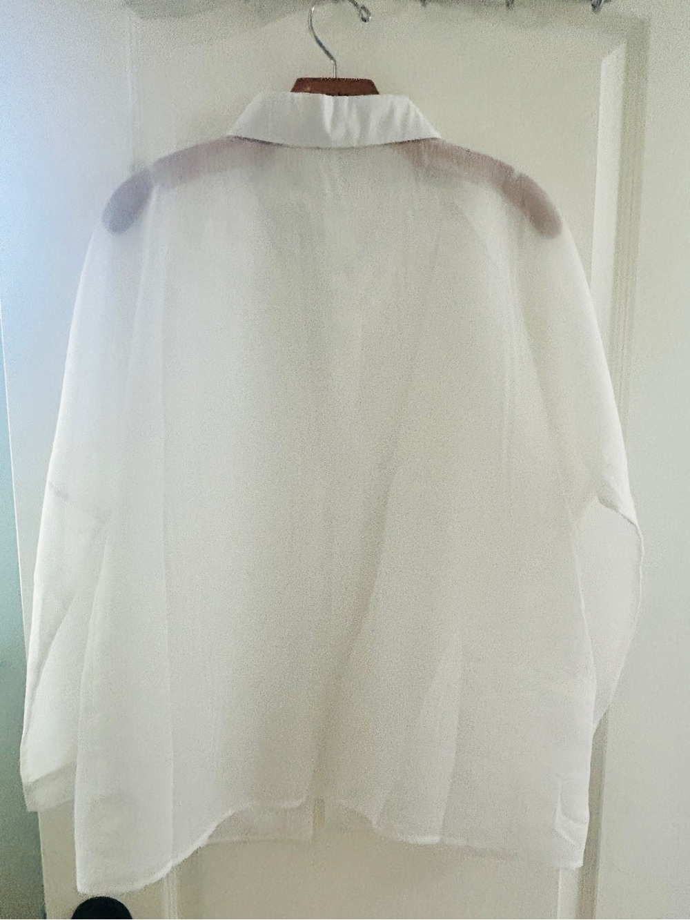 White  Sheer Button-Up Shirt - LRG - Picture 4 of 5